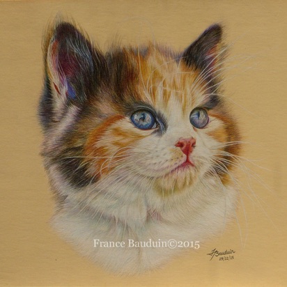 Fête again- 24 hours
Sand Pastelmat
11.75" x 12"
From Laila's 7th litter - 2015